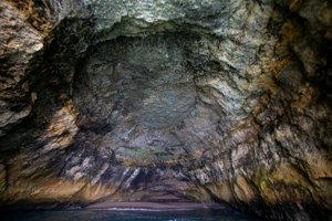 IMG_6301.jpg