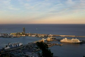 IMG_8728.jpg