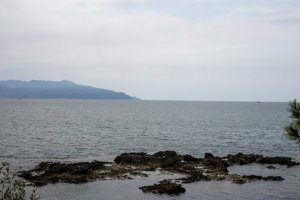 IMG_3317.jpg