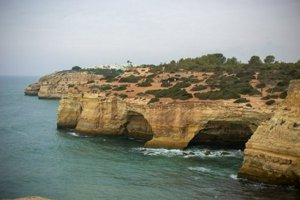 IMG_6889.jpg