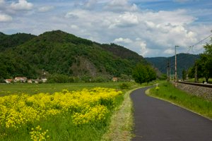 IMG_0954.jpg