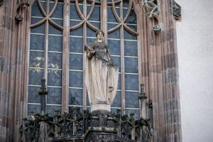 IMG_7588.jpg