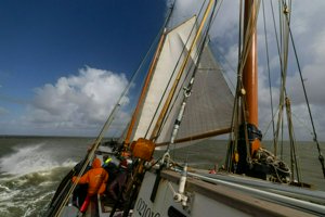 IMG_4778.jpg