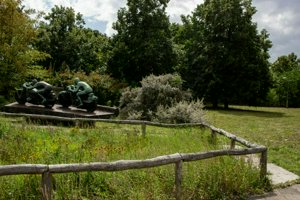IMG_0018.jpg