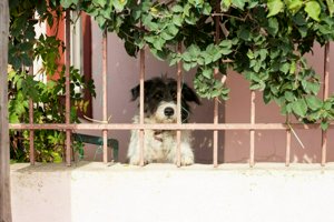 IMG_3211.jpg