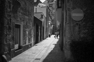 IMG_5384.jpg