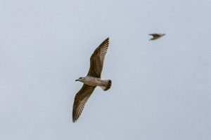 IMG_6818.jpg
