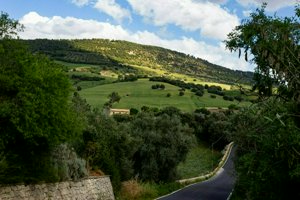 IMG_9967.jpg