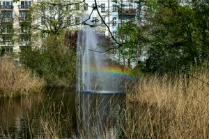 IMG_8315.jpg