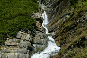 IMG_1538.jpg