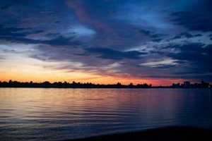 IMG_3936.jpg