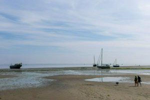 IMG_9896.jpg