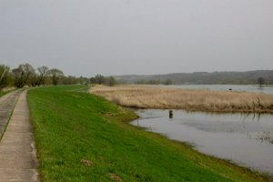 IMG_7441.jpg
