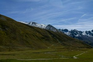 IMG_1599.jpg