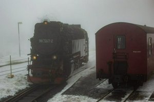 IMG_1330.jpg