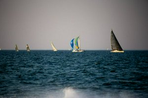 IMG_8581.jpg