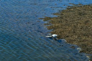 IMG_5995.jpg
