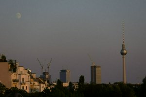 IMG_2493.jpg