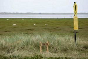 IMG_9862.jpg