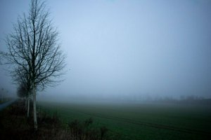 IMG_1001.jpg