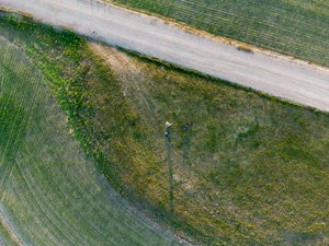 DJI_0253.jpg