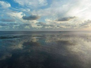 DJI_0484-Улучшено-NR.jpg
