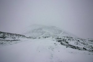 IMG_0193.jpg