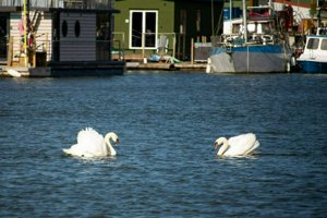 IMG_7138.jpg