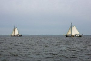 IMG_0489.jpg