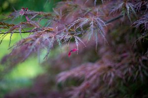 IMG_5672.jpg