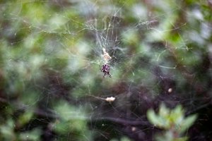 IMG_4680.jpg