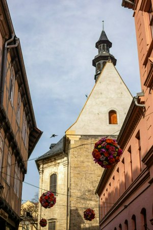 IMG_7805.jpg