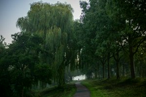 IMG_2051.jpg