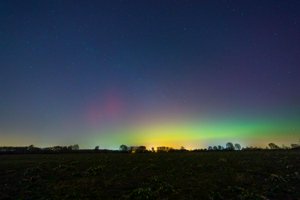 IMG_0346.jpg