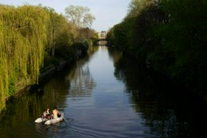 IMG_8385.jpg