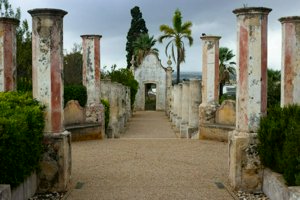 IMG_7793.jpg