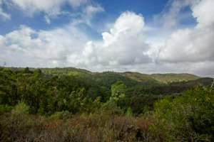IMG_7659.jpg