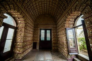 IMG_7826-Enhanced-NR.jpg
