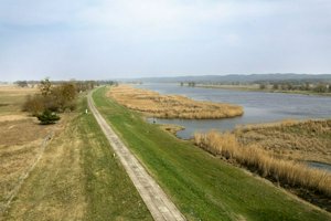 IMG_8965.jpg