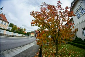 IMG_9992.jpg