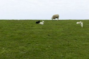 IMG_5786.jpg