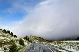 IMG_1197.jpg