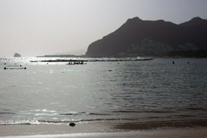 IMG_3952.jpg