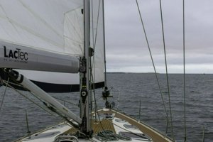 IMG_1965.jpg