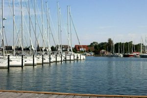 IMG_8952.jpg