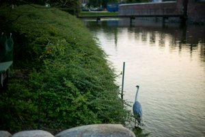 IMG_8199.jpg