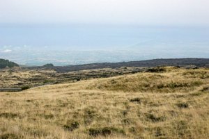 IMG_9655.jpg