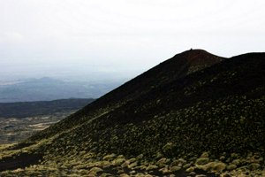 IMG_9508.jpg