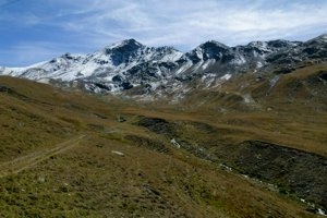 IMG_1609.jpg