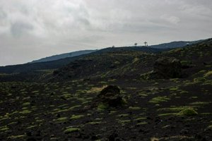IMG_9580.jpg
